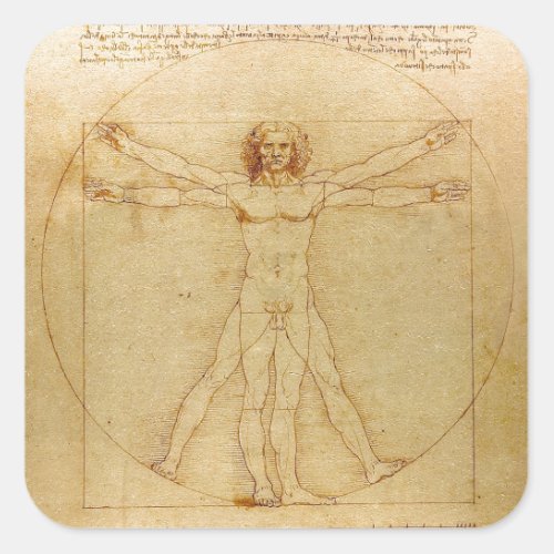 Leonardo da Vinci  Vitruvian Man Square Sticker