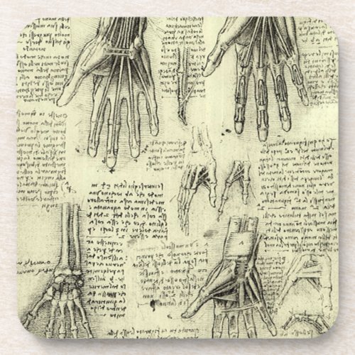 Leonardo da Vincis Anatomy of the Human Hand Beverage Coaster