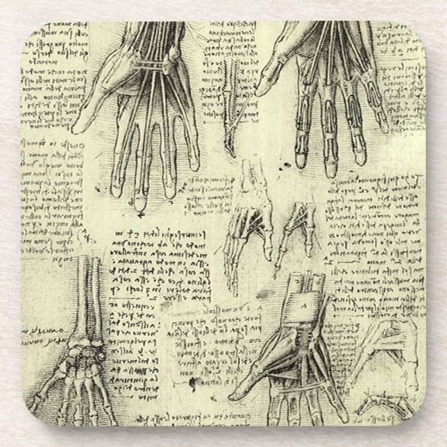 Leonardo da Vinci's Anatomy of the Human Hand Beverage Coaster (Front)