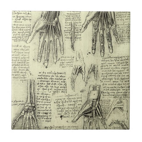 Leonardo da Vincis Anatomy of the Human Hand Ceramic Tile