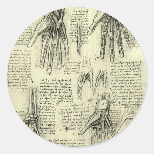 Leonardo da Vincis Anatomy of the Human Hand Classic Round Sticker
