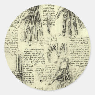 Leonardo da Vinci's Anatomy of the Human Hand Classic Round Sticker