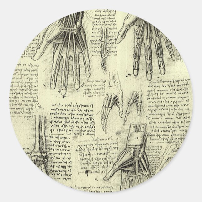 Leonardo da Vinci's Anatomy of the Human Hand Classic Round Sticker (Front)