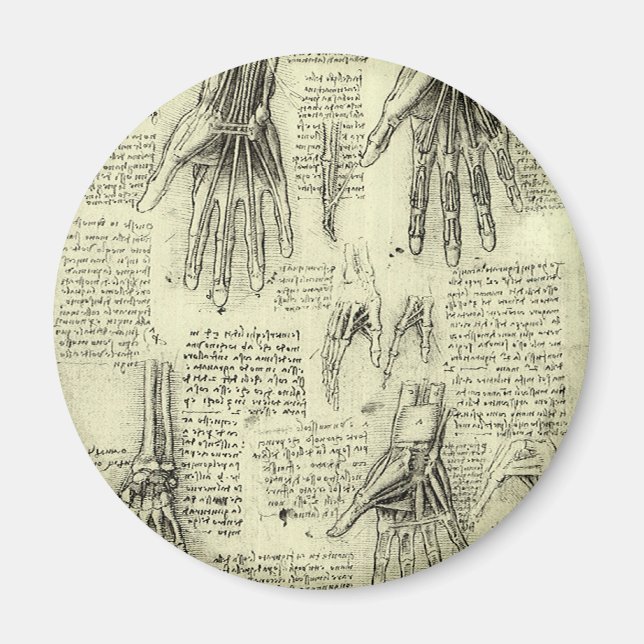 Leonardo da Vinci's Anatomy of the Human Hand Magnet (Front)