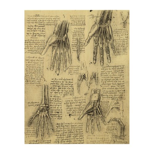 Leonardo da Vincis Anatomy of the Human Hand Wood Wall Decor