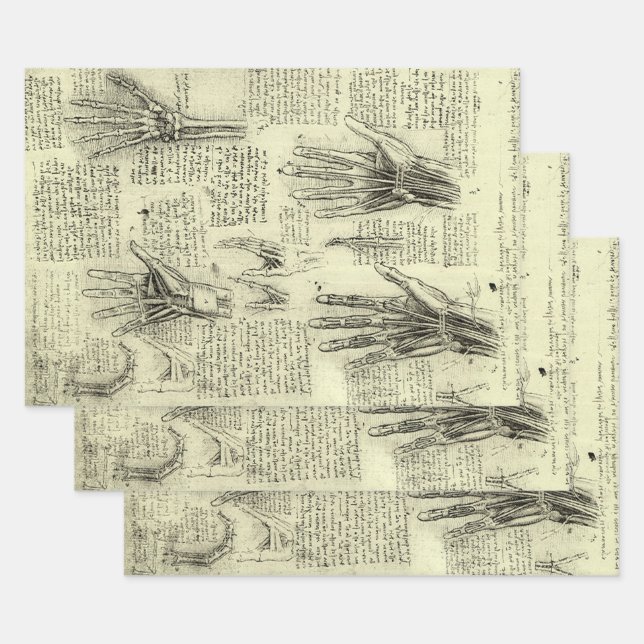 Leonardo da Vinci's Anatomy of the Human Hand Wrapping Paper Sheets (Set)