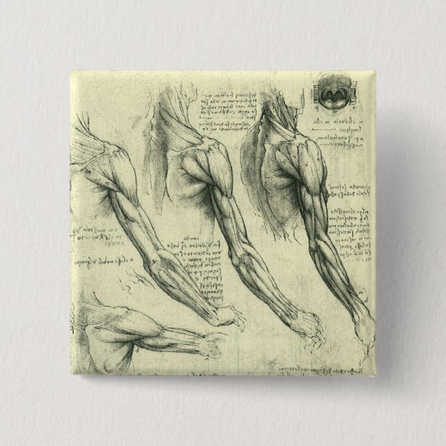Leonardo da Vinci's Arm and Shoulder Anatomy Button (Front)