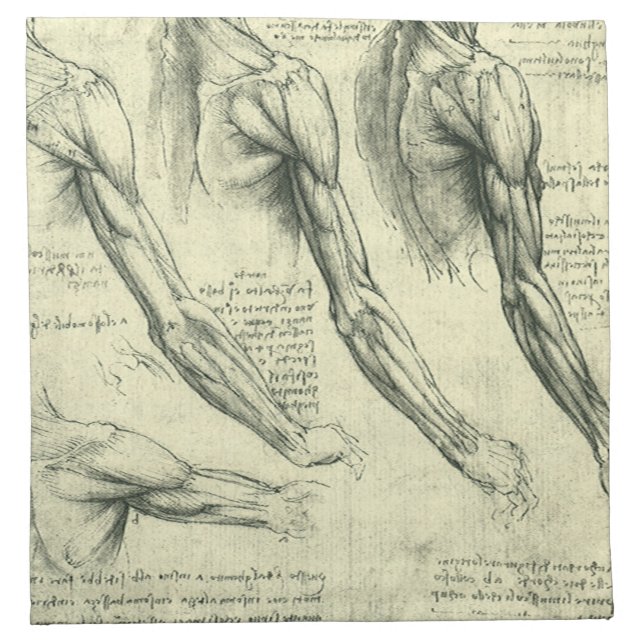 Leonardo da Vinci's Arm and Shoulder Anatomy Napkin (Front)