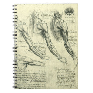 Leonardo da Vinci's Arm and Shoulder Anatomy Notebook