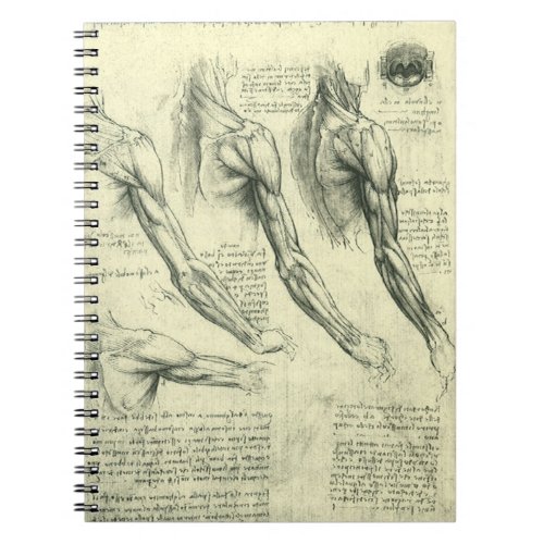 Leonardo da Vincis Arm and Shoulder Anatomy Notebook