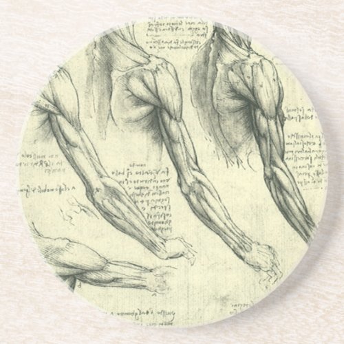 Leonardo da Vincis Arm and Shoulder Anatomy Sandstone Coaster