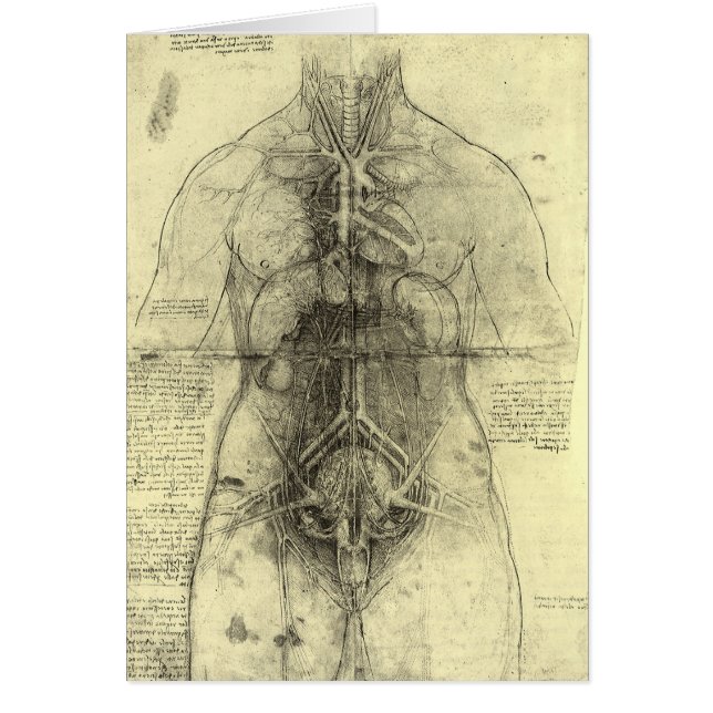 Leonardo da Vinci's Human Anatomy, Female Torso (Front)