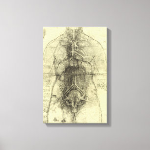 Leonardo da Vinci's Human Anatomy, Female Torso Canvas Print