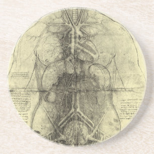 Leonardo da Vinci's Human Anatomy, Female Torso Drink Coaster