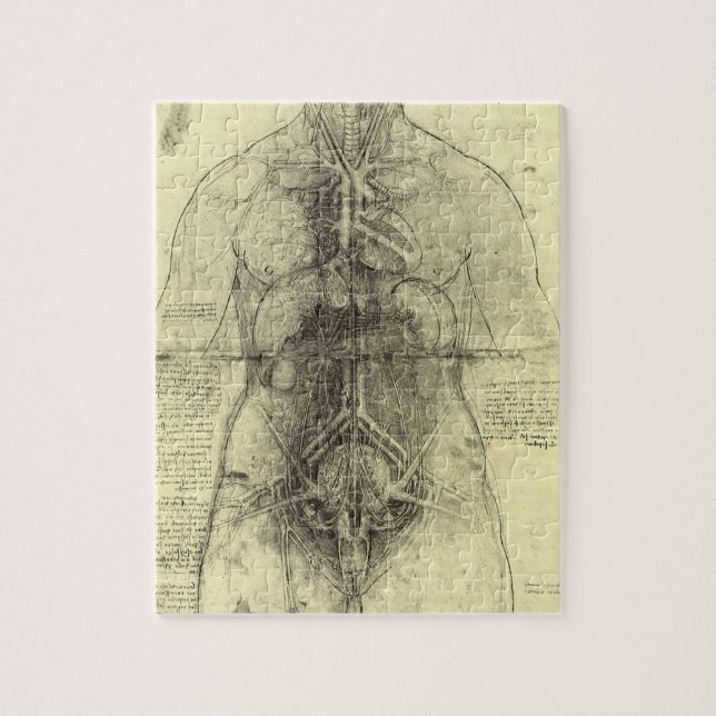 Leonardo da Vinci's Human Anatomy, Female Torso Jigsaw Puzzle (Vertical)