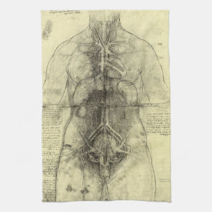 Leonardo da Vinci's Human Anatomy, Female Torso Kitchen Towel