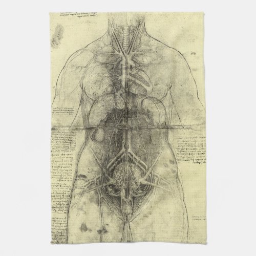 Leonardo da Vincis Human Anatomy Female Torso Kitchen Towel