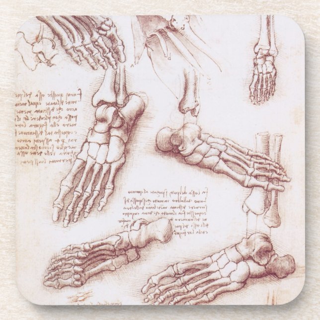 Leonardo da Vinci's Human Anatomy Foot Bones Beverage Coaster (Front)