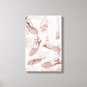Leonardo da Vinci's Human Anatomy Foot Bones Canvas Print