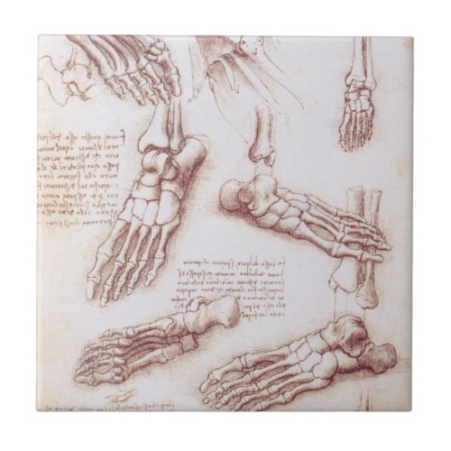 Leonardo da Vincis Human Anatomy Foot Bones Ceramic Tile