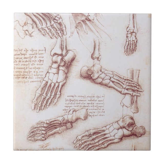 Leonardo da Vinci's Human Anatomy Foot Bones Ceramic Tile (Front)