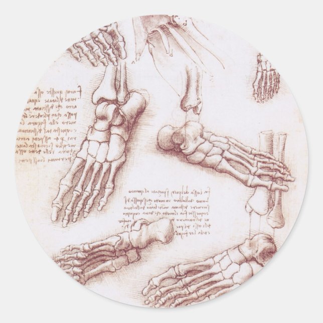 Leonardo da Vinci's Human Anatomy Foot Bones Classic Round Sticker (Front)