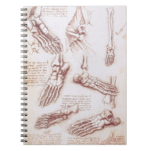 Leonardo da Vinci's Human Anatomy Foot Bones Notebook