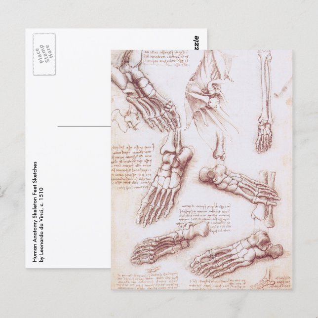 Leonardo da Vinci's Human Anatomy Foot Bones Postcard (Front/Back)