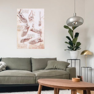 Leonardo da Vinci's Human Anatomy Foot Bones Poster