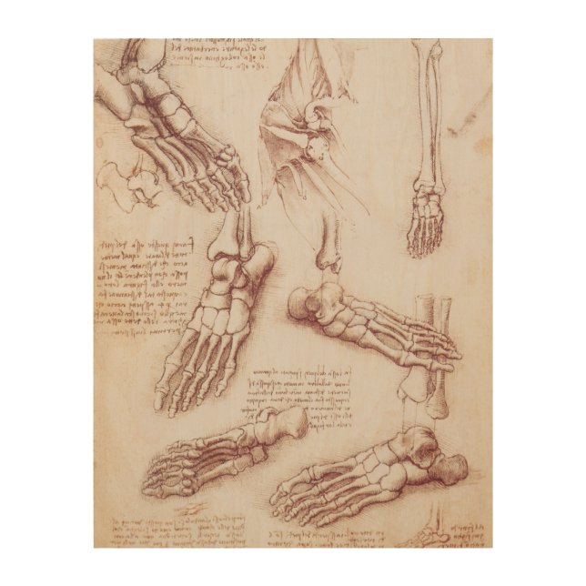 Leonardo da Vinci's Human Anatomy Foot Bones Wood Wall Art (Front)