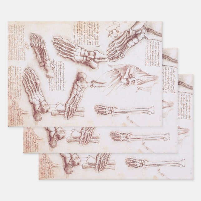Leonardo da Vinci's Human Anatomy Foot Bones Wrapping Paper Sheets (Set)