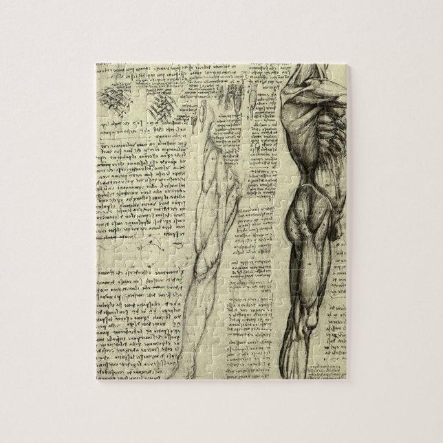 Leonardo da Vinci's Human Anatomy Male Muscles Jigsaw Puzzle (Vertical)