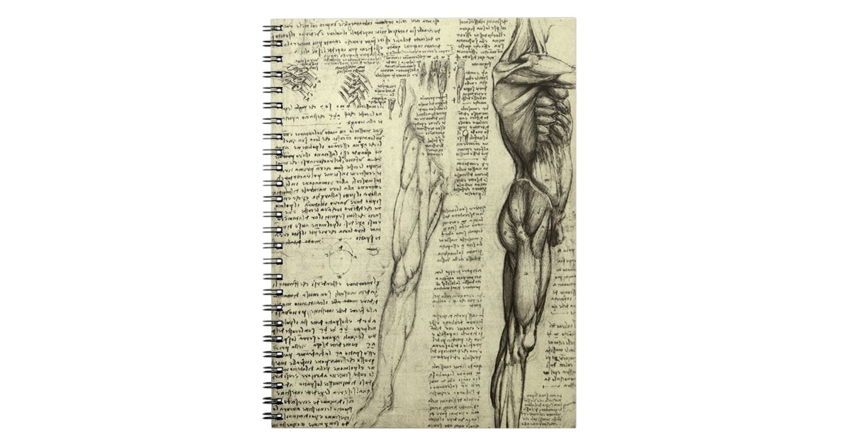 Leonardo da Vinci's Human Anatomy Male Muscles Notebook | Zazzle