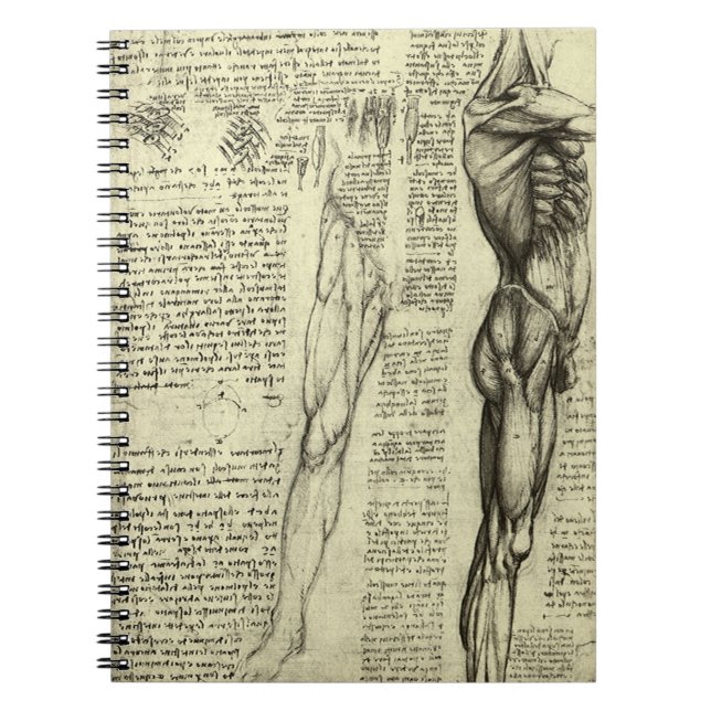 Leonardo da Vinci's Human Anatomy Male Muscles Notebook (Front)