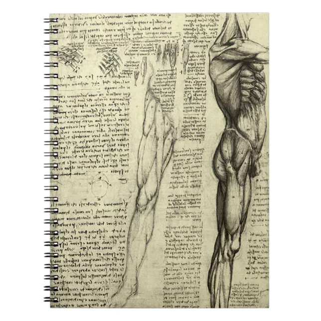 Leonardo da Vinci's Human Anatomy Male Muscles Notebook | Zazzle