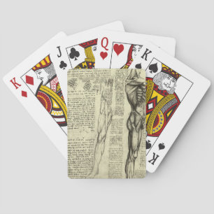 Leonardo da Vinci's Human Anatomy Male Muscles Poker Cards