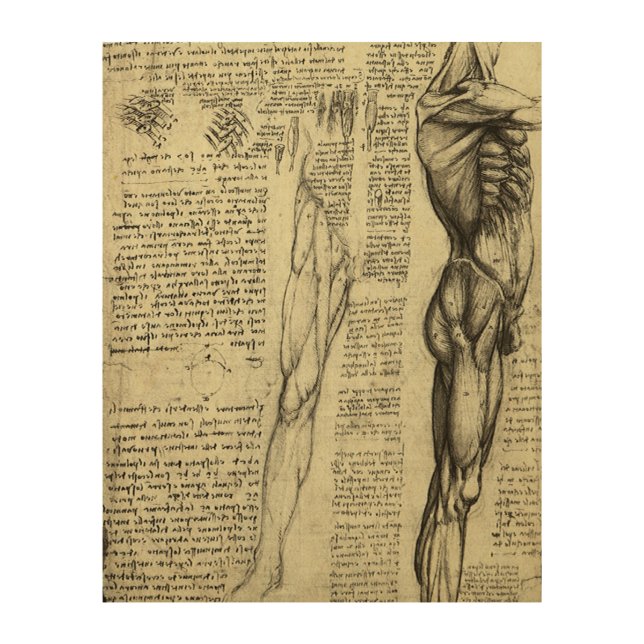 Leonardo da Vinci's Human Anatomy Male Muscles Wood Wall Decor (Front)