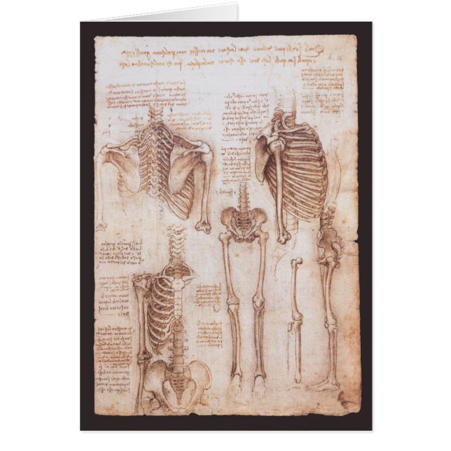 Leonardo da Vinci's Human Anatomy Skeleton Bones Cards (Front)