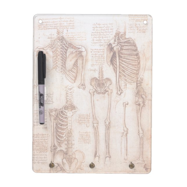 Leonardo da Vinci's Human Anatomy Skeleton Bones Dry Erase Board (Front)