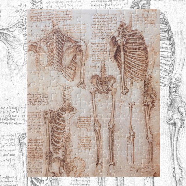 Leonardo da Vinci's Human Anatomy Skeleton Bones Jigsaw Puzzle (Creator Uploaded)