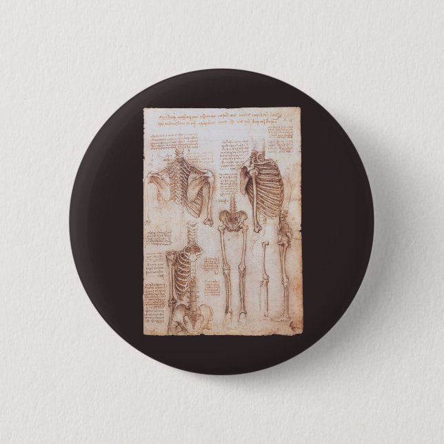 Leonardo da Vinci's Human Anatomy Skeleton Bones Pinback Button (Front)