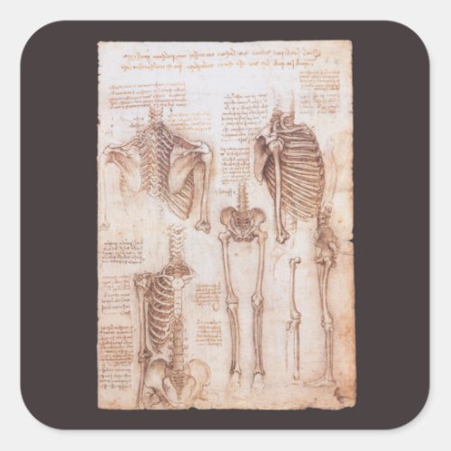 Leonardo da Vincis Human Anatomy Skeleton Bones Square Sticker