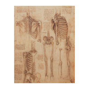 Leonardo da Vinci's Human Anatomy Skeleton Bones Wood Wall Art
