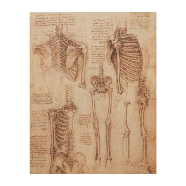 Leonardo da Vinci's Human Anatomy Skeleton Bones Wood Wall Art (Front)
