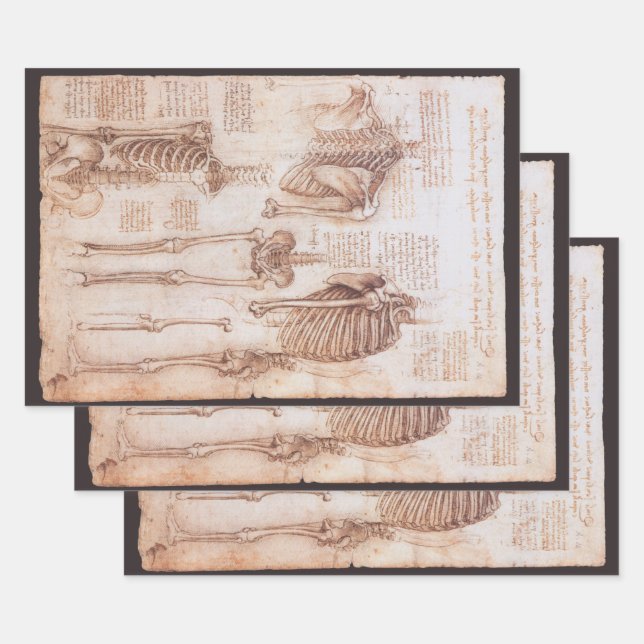 Leonardo da Vinci's Human Anatomy Skeleton Bones Wrapping Paper Sheets (Set)