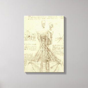 Leonardo da Vinci's Human Anatomy Spinal Column Canvas Print