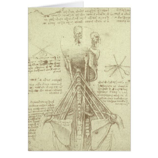 Leonardo da Vinci's Human Anatomy Spinal Column Cards (Front)
