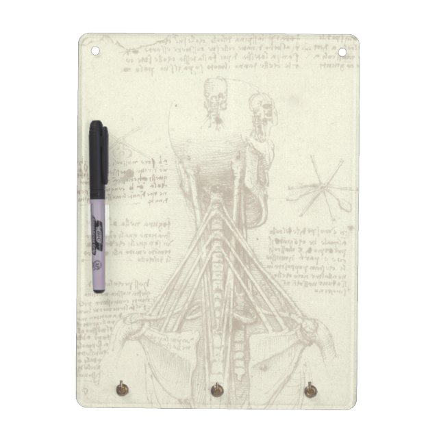 Leonardo da Vinci's Human Anatomy Spinal Column Dry Erase Board (Front)