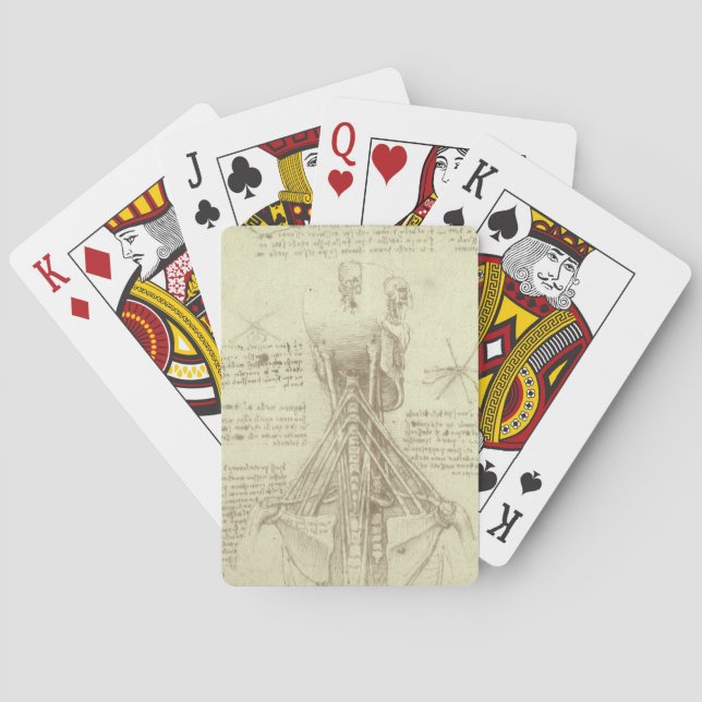 Leonardo da Vinci's Human Anatomy Spinal Column Poker Cards (Back)