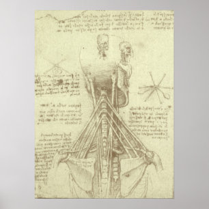 Leonardo da Vinci's Human Anatomy Spinal Column Poster